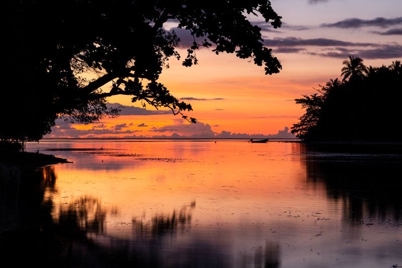 Xseed Lead Subscribe