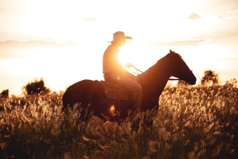 Xseed Lead subscribe