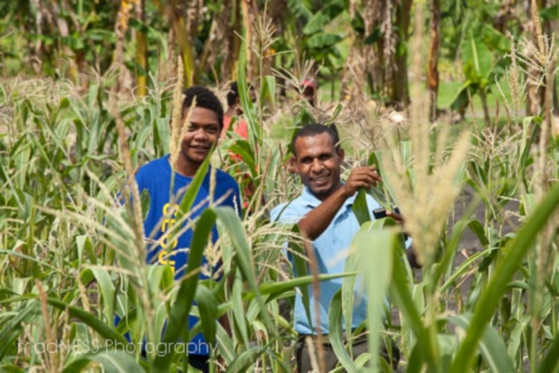 working in farms Two men collaborating on an Aid Development project with Xseed Lead, emphasising sustainability and inclusivity.