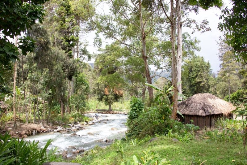 organisational change management